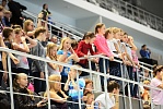 XVI чемпионат мира по водным видам спорта - 2015, оргкомитет в Казани